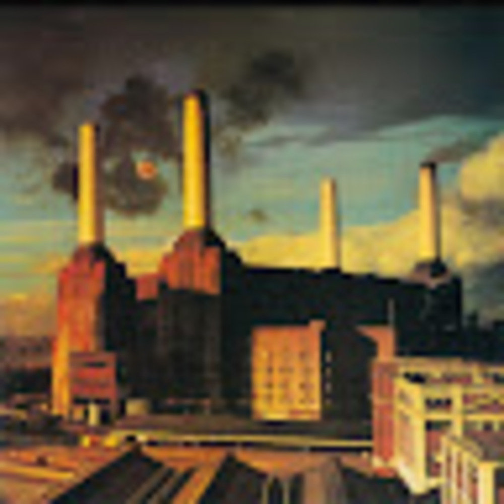 Meet your Posher, Brett